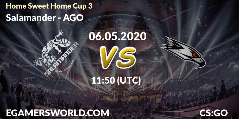 Prognose für das Spiel Salamander VS AGO. 06.05.2020 at 11:50. Counter-Strike (CS2) - #Home Sweet Home Cup 3