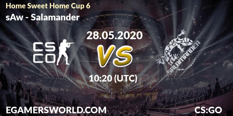 Prognose für das Spiel sAw VS Salamander. 28.05.20. CS2 (CS:GO) - #Home Sweet Home Cup 6