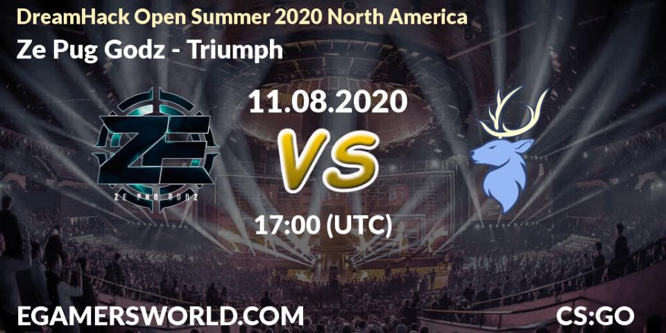 Prognose für das Spiel Ze Pug Godz VS Triumph. 11.08.20. CS2 (CS:GO) - DreamHack Open Summer 2020 North America