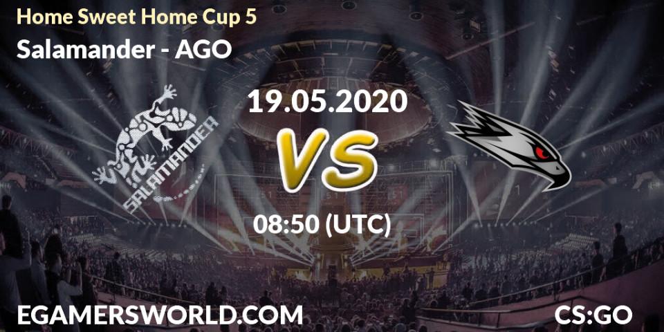 Prognose für das Spiel Salamander VS AGO. 19.05.20. CS2 (CS:GO) - #Home Sweet Home Cup 5