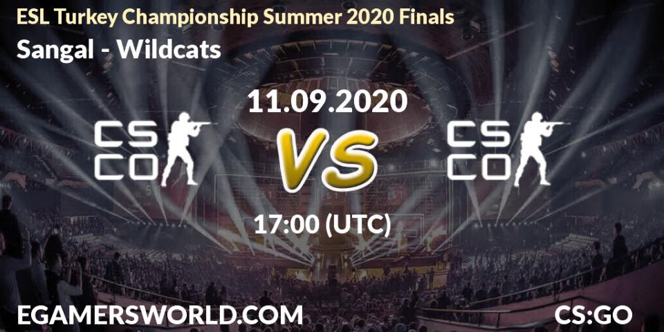 Prognose für das Spiel Sangal VS Wildcats. 11.09.2020 at 17:00. Counter-Strike (CS2) - ESL Turkey Championship Summer 2020 Finals
