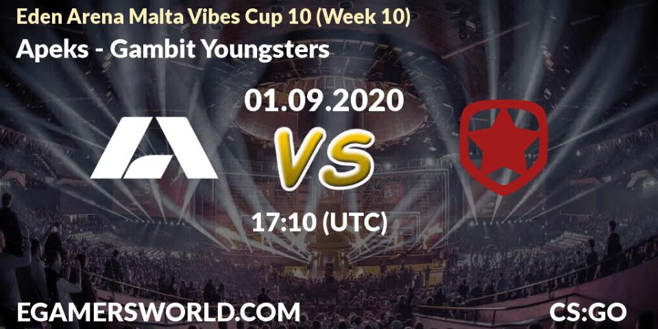 Prognose für das Spiel Apeks VS Gambit Youngsters. 01.09.20. CS2 (CS:GO) - Eden Arena Malta Vibes Cup 10 (Week 10)