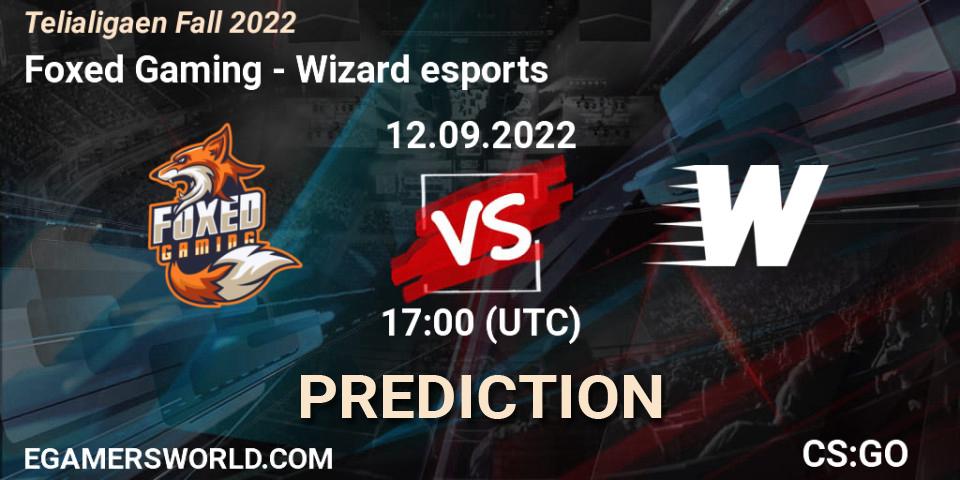 Prognose für das Spiel Foxed Gaming VS Wizard esports. 12.09.22. CS2 (CS:GO) - Telialigaen Fall 2022: Regular Season