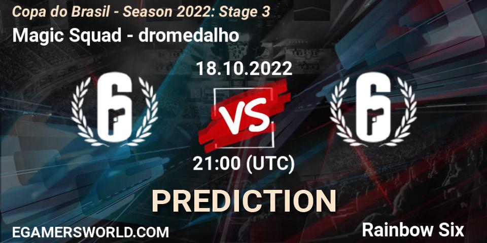 Prognose für das Spiel Magic Squad VS dromedalho. 18.10.2022 at 21:00. Rainbow Six - Copa do Brasil - Season 2022: Stage 3