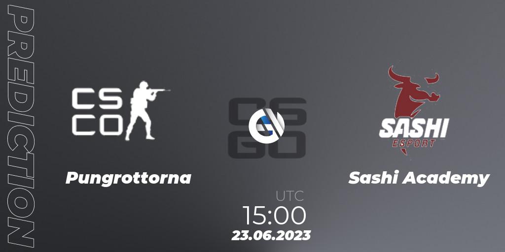 Prognose für das Spiel Pungrottorna VS Sashi Academy. 23.06.2023 at 15:00. Counter-Strike (CS2) - Preasy Summer Cup 2023
