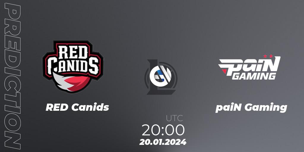 Prognose für das Spiel RED Canids VS paiN Gaming. 20.01.24. LoL - CBLOL Split 1 2024 - Group Stage