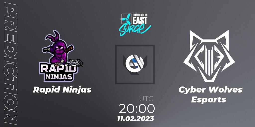Prognose für das Spiel Rapid Ninjas VS Cyber Wolves Esports. 11.02.23. VALORANT - VALORANT Challengers 2023 East: Surge Split 1