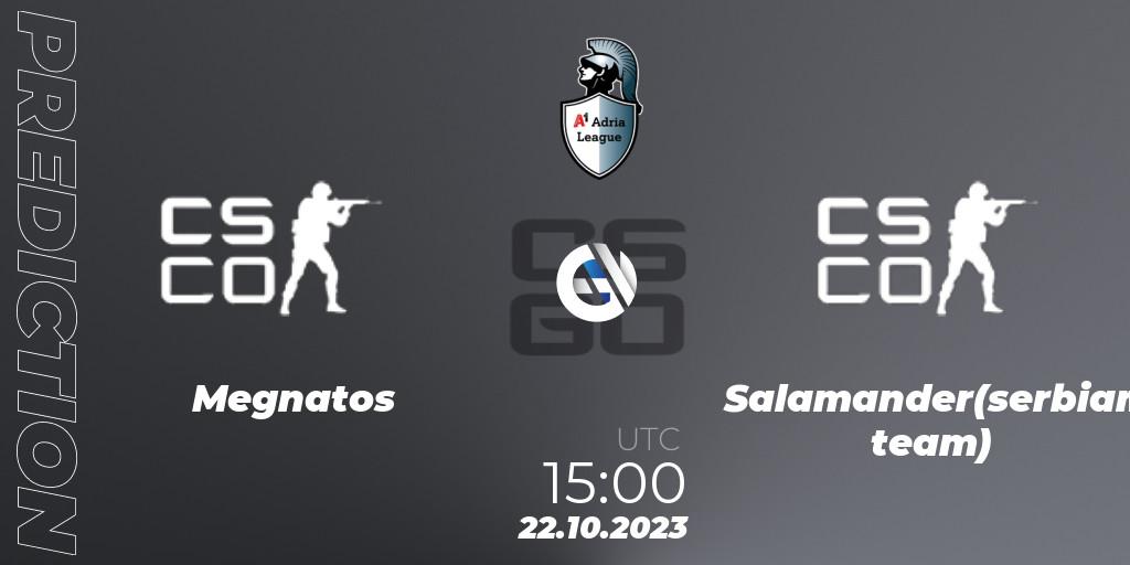 Prognose für das Spiel Megnatos VS Salamander(serbian team). 22.10.2023 at 15:00. Counter-Strike (CS2) - A1 Adria League Season 12