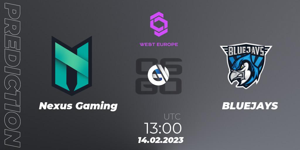 Prognose für das Spiel Nexus Gaming VS BLUEJAYS. 14.02.23. CS2 (CS:GO) - CCT West Europe Series #1