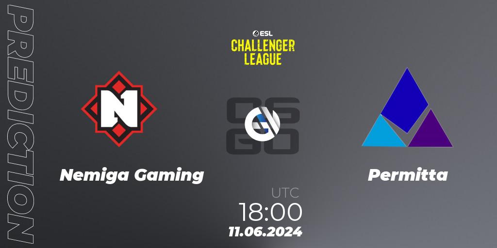 Prognose für das Spiel Nemiga Gaming VS Permitta. 11.06.2024 at 18:00. Counter-Strike (CS2) - ESL Challenger League Season 47 Relegation: Europe