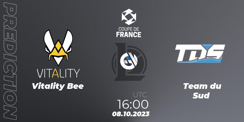 Prognose für das Spiel Vitality Bee VS Team du Sud. 08.10.23. LoL - Coupe de France 2023