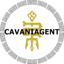 CAVANIAGENT(counterstrike)