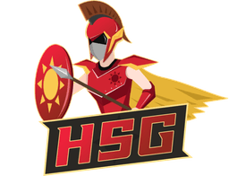 HSG Academy(counterstrike)