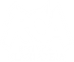 Regional Clash Arena CIS