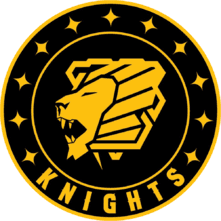 Pittsburgh Knights(valorant)