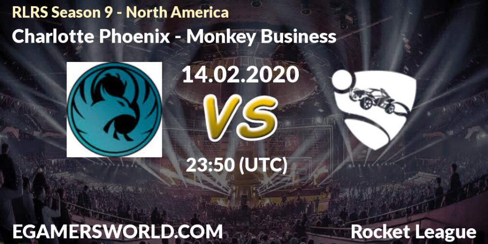 Charlotte Phoenix VS Monkey Business