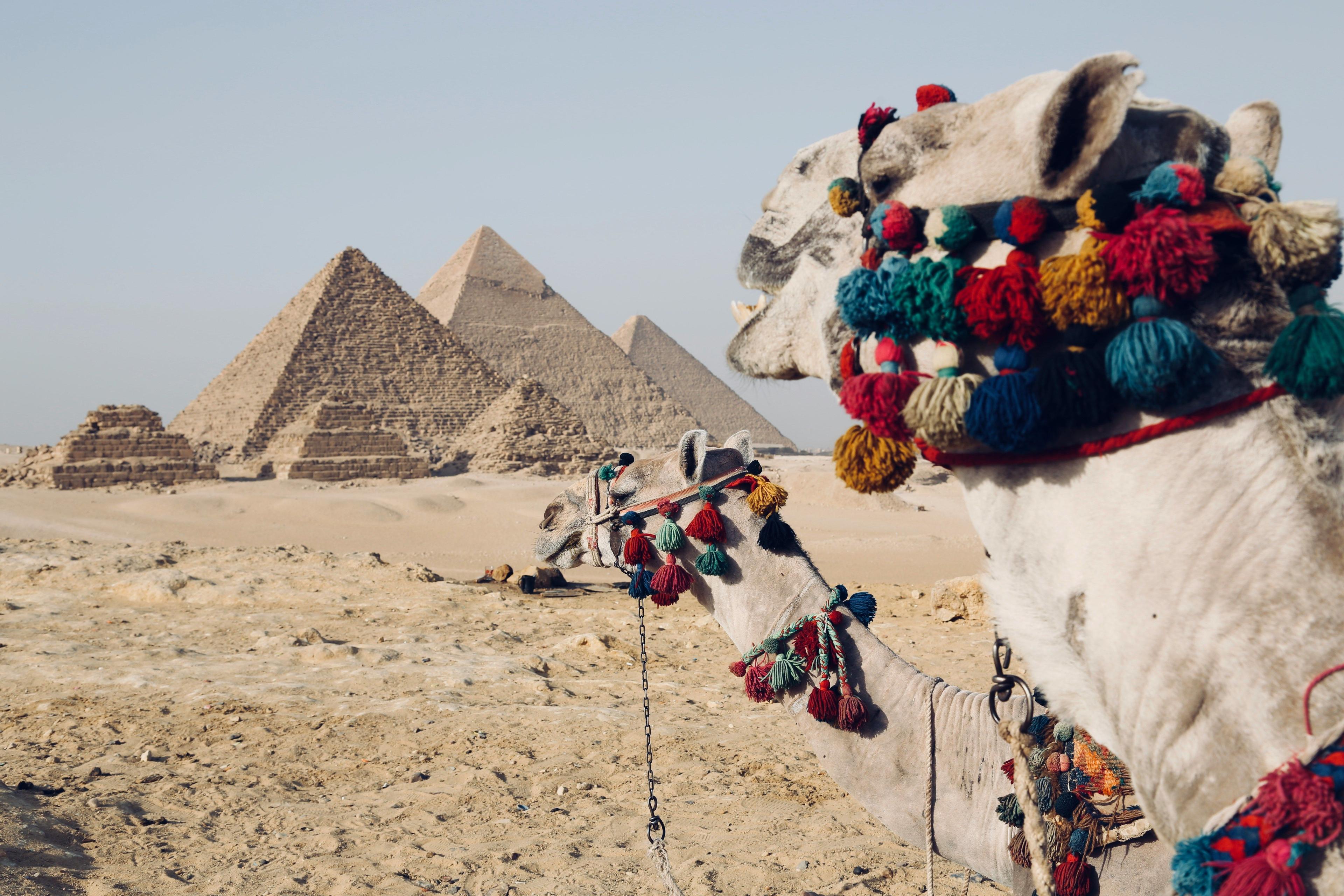 Bei den Pharaonen: Die besten Games über Ägypten