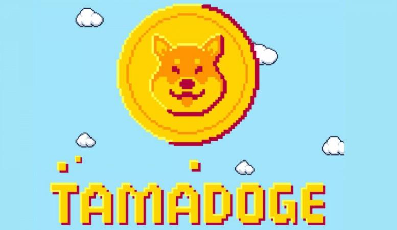 Tamadoge – ein weiterer Hype-Versuch um Dogecoin oder eine großartige Neuheit in der Welt der NFT- -Spiele?