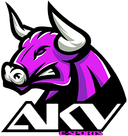 AKV e-Sports Female (counterstrike)