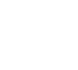Invictus Gaming International(counterstrike)
