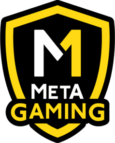 Meta Gaming BR(counterstrike)