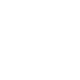 MIBR Academy