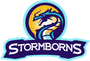 Stormborns (counterstrike)