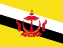 Team Brunei (counterstrike)