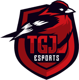 TGJ Esports(counterstrike)
