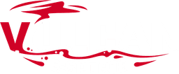 Vulcan Esports Pro