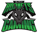 Black Hornets Gaming (dota2)