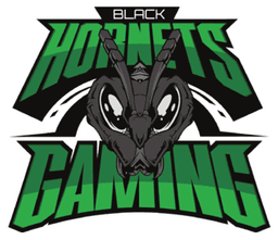Black Hornets Gaming(dota2)