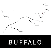 Buffalo Team(dota2)