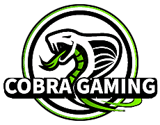 Cobra Gaming(dota2)