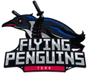 Flying Penguins (dota2)