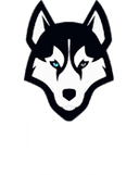 Husky (dota2)