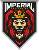 Imperial Pro Gaming (dota2)