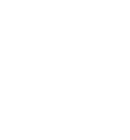 plan-B esports(dota2)