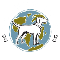 Planet Dog(dota2)