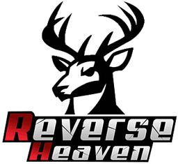 Reverse Heaven(dota2)