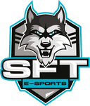 SFTe-sports (dota2)