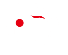 Team Brave(dota2)