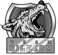 Team DileCom (dota2)