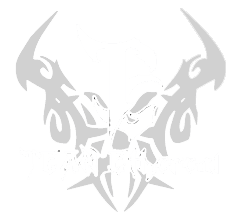 Team Ethereal(dota2)