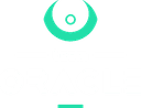 Team Oracle (dota2)