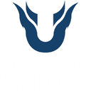 Team Unique (dota2)