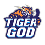 Tiger God(dota2)