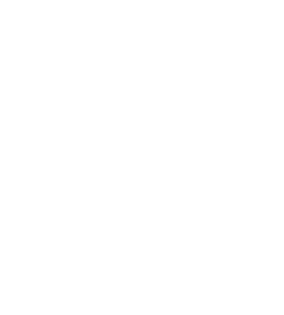 Tundra Esports(dota2)