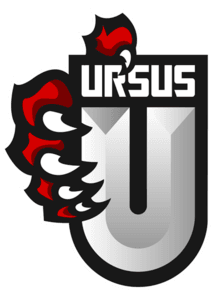 URSUS Gaming(dota2)
