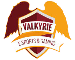 Valkyrie eSports Gaming